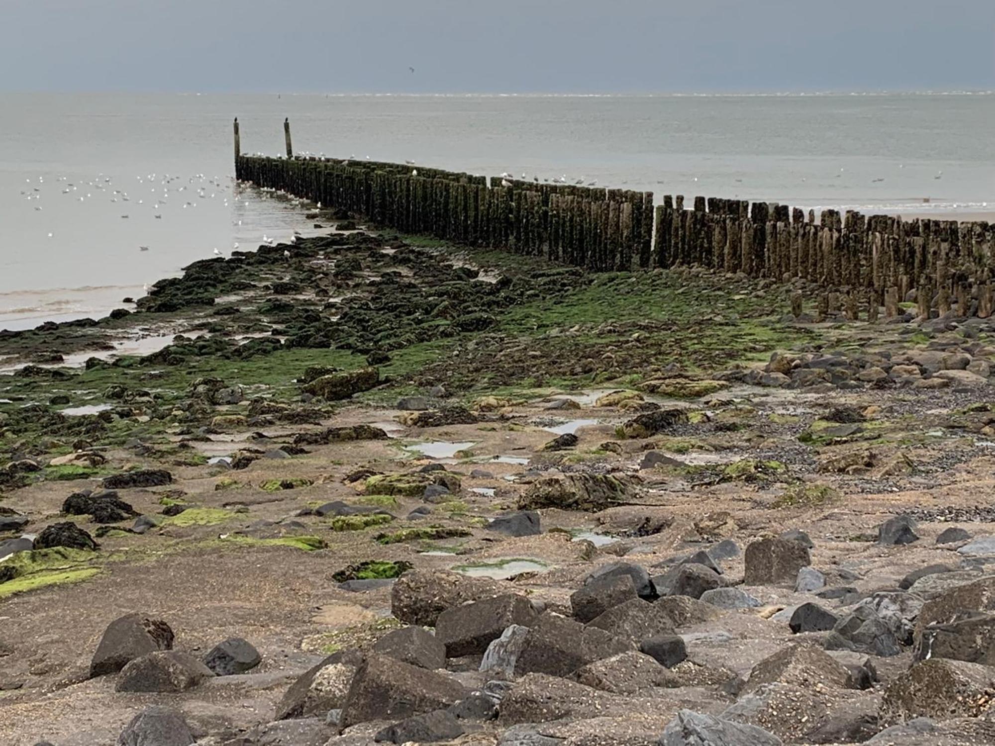 De Logeerkamer Gapinge Bagian luar foto